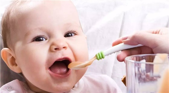 婴幼儿辅食