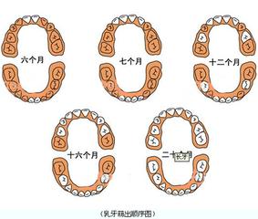 出牙时间
